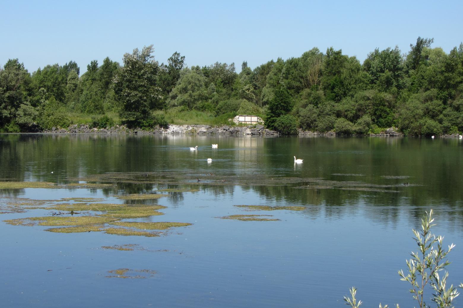 Galerie Vougy CEN HauteSavoie