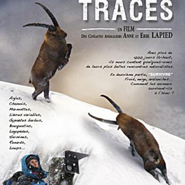 mille et une trace