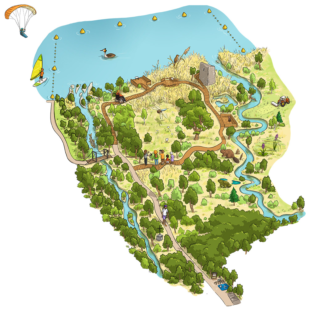 illustration de la réserve naturelle du bout du lac d'annecy