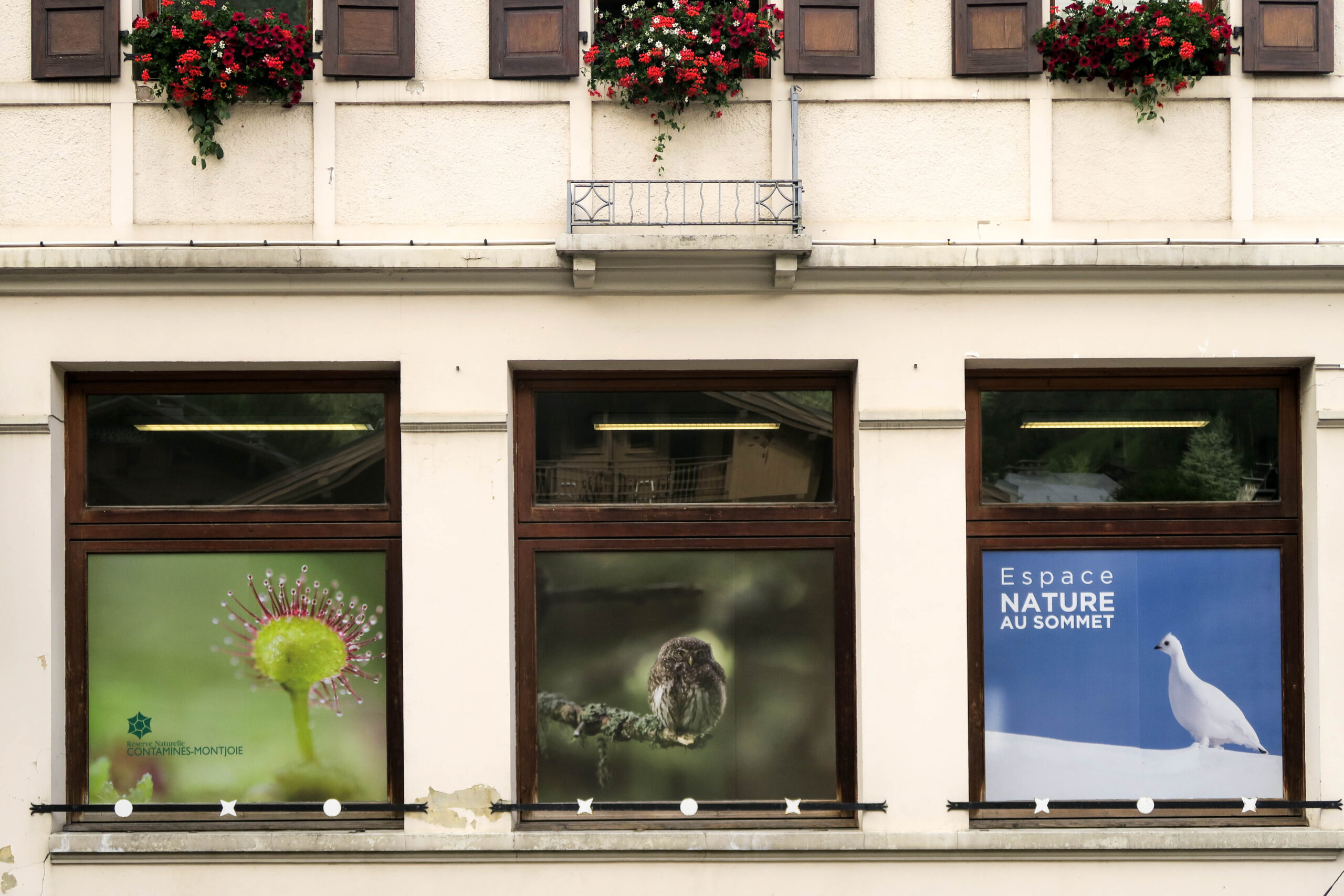 espace nature au sommet contamines-montjoie