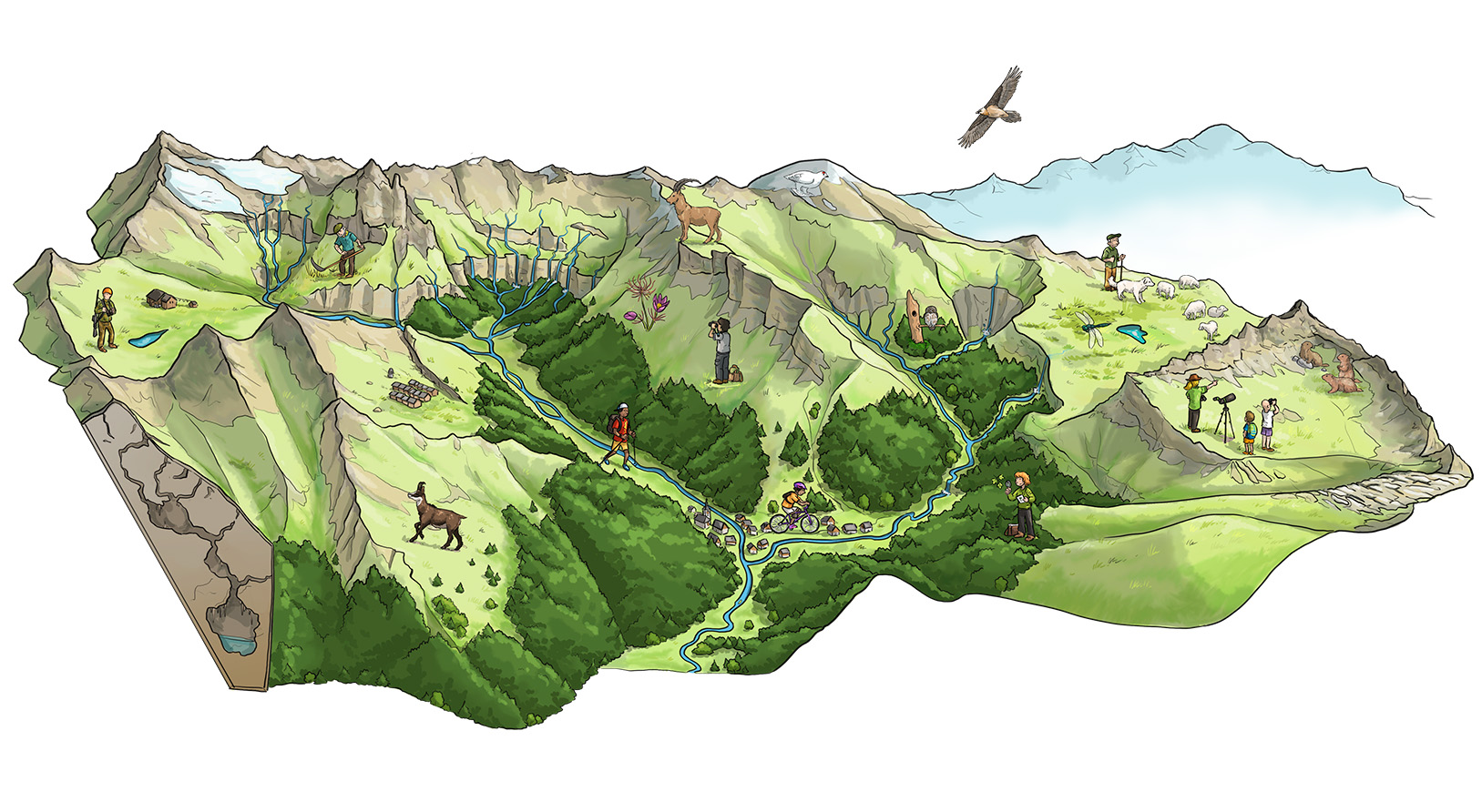 illustration de la réserve naturelle de Sixt-fer-à-cheval et Passy