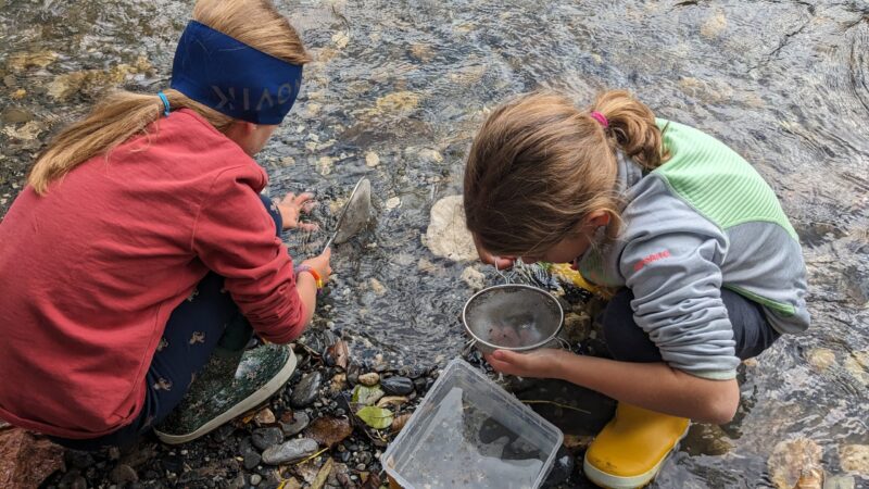 sensibilisation dans Zones humides de Megève et Praz-sur-Arly