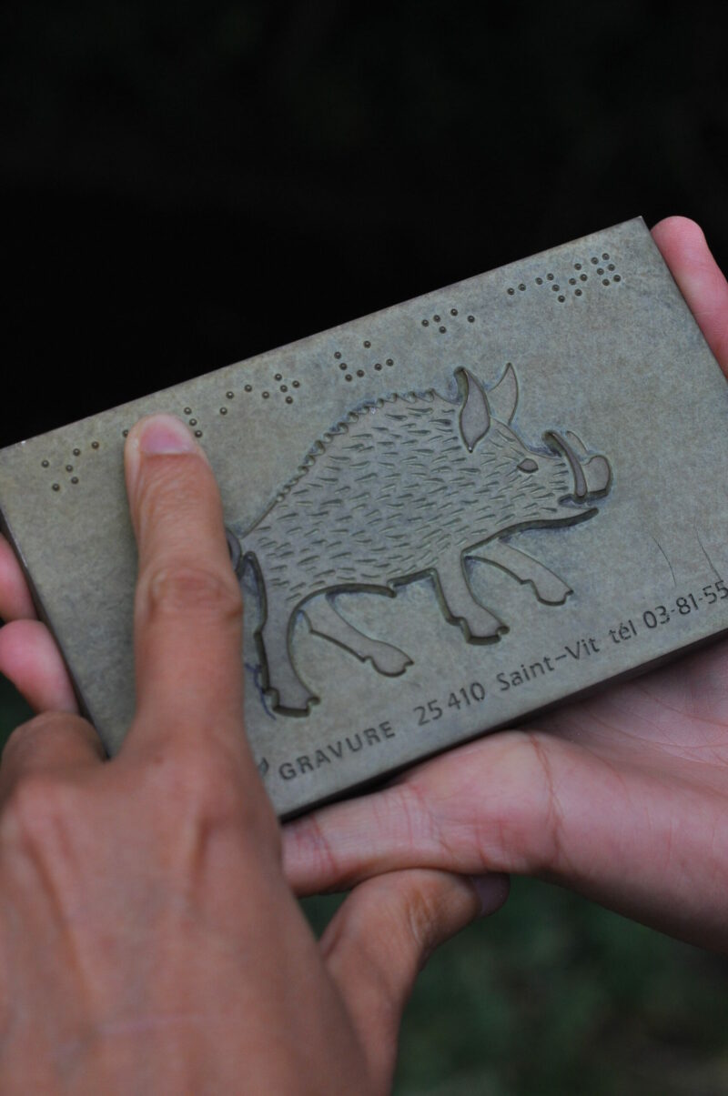 animation pour public en situation de handicap