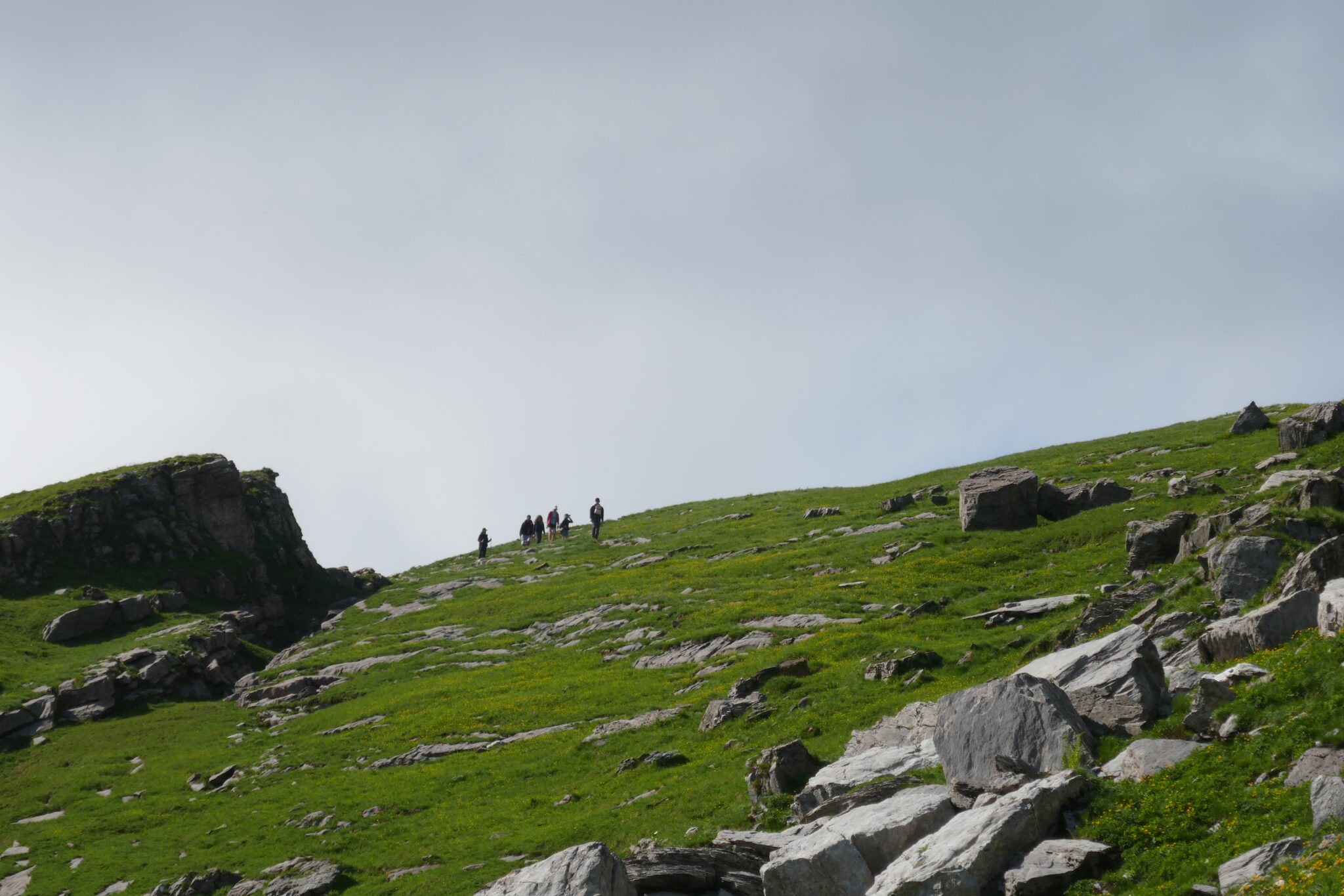 pastoralisme en haute-savoie